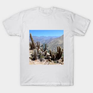 SCENERY 93 - Summer Desert Cactus Plant Landscape Wilderness T-Shirt